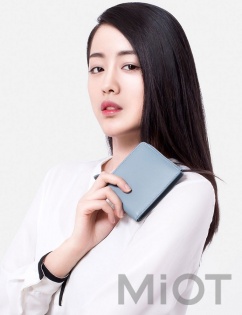Гаманець жіночий Xiaomi UREVO Blue 110*30*90mm