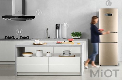 Розумний холодильник Xiaomi Viomi Smart Refrigerator iLive Edition Gold