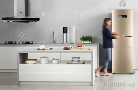Умный холодильник Xiaomi Viomi Smart Refrigerator iLive Edition Gold