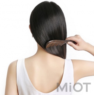 Дерев'яний гребінець для волосся Xiaomi XinZhi Ebony gold hand-painted Light Brown
