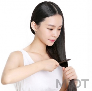Дерев'яний гребінь для волосся Xiaomi XinZhi Ebony gold hand-painted Light Brown