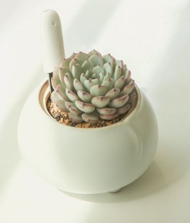 Датчик для растений Smart Flower and Plant Monitor (Huahuacaocao)