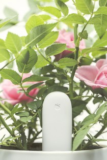 Датчик для рослин Smart Flower and Plant Monitor (Huahuacaocao)