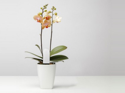 Датчик для рослин Smart Flower and Plant Monitor (Huahuacaocao)