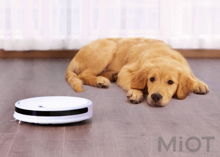 Робот пилосос Xiaowa Robot Vacuum Cleaner White C10