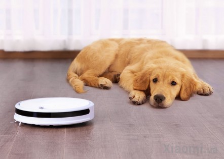 Робот пылесос Xiaowa Robot Vacuum Cleaner White C10 