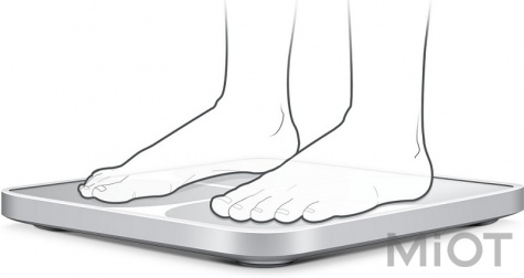 Ваги Xiaomi Yunmai 2 Smart Scale Silver (Y2SSS)