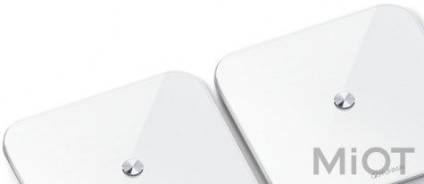 Ваги Xiaomi Yunmai SE Smart Scale White (M1680)