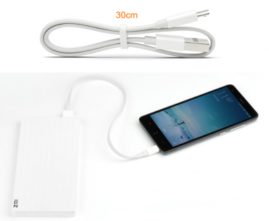 Кабель Xiaomi ZMi AL610 USB - Micro USB (30см) 