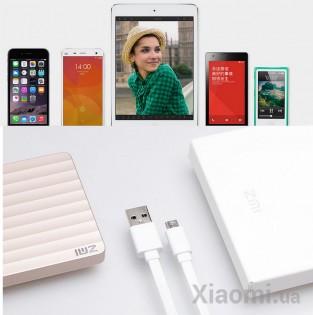 Универсальная батарея Xiaomi ZMi powerbank 10000 mAh Gold