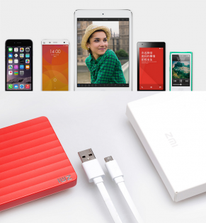 Универсальная батарея Xiaomi ZMi Powerbank 10000mAh Red