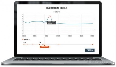 Дистанционный датчик температуры Xiaomi ZenMeasure Wireless Temperature Tag ZX102