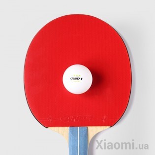 Ракетка для настольного тенниса Xiaomi AND1 Rackets for table tennis SET AND1