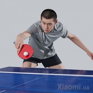 Ракетка для настольного тенниса Xiaomi AND1 Rackets for table tennis SET AND1