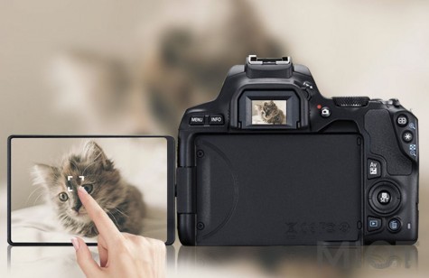 Фотокамера Canon EOS Mark II 200D 2
