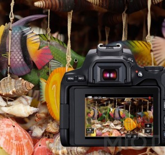 Фотокамера Canon EOS Mark II 200D 2
