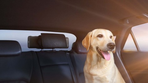 Очищувач повітря Mi Home (Mijia) Car Air Purifier Black