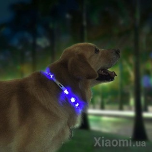 Ошейник Xiaomi Mini Monstar XL81 - 5001