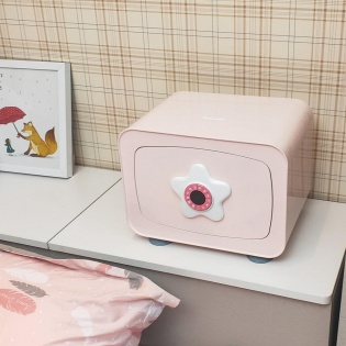 Детский сейф Xiaomi CRMCR Card Child Safe Deposit Box Pink