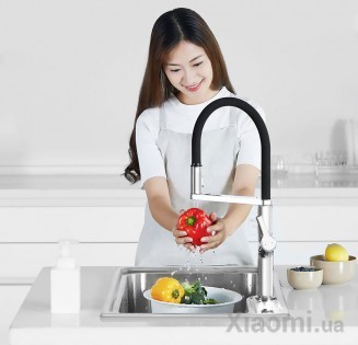 Смеситель для умывальника Xiaomi DiiiB DXCF001