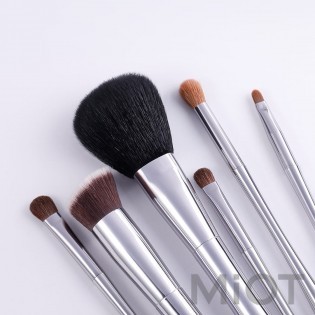 Набір пензликів для макіяжу Xiaomi DUcare High-end Brushes (Pack of 6pcs) U602-B-XM