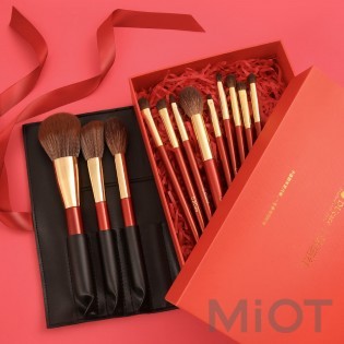 Набір пензликів для макіяжу Xiaomi DUcare Style Brush 12 sticks BB1203-XM