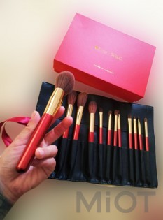 Набір пензликів для макіяжу Xiaomi DUcare Style Brush 12 sticks BB1203-XM