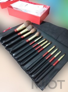 Набір пензликів для макіяжу Xiaomi DUcare Style Brush 12 sticks BB1203-XM