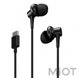 Навушники з мікрофоном Xiaomi Mi ANC & Type-C In-Ear Earphones Black (ZBW4382TY)