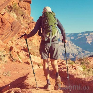 Треккинговая палка Xiaomi Early Wind (ZaoFeng) Carbon Fiber Trekking Poles