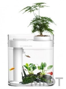 Акваріум Xiaomi Eco fish tank Air humidifier White 260*135*280