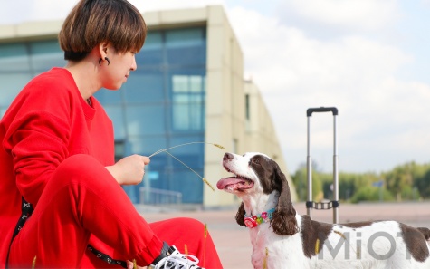 Amazpet HAII's Smart Dog Tracker Green