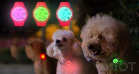 Amazpet HAII's Smart Dog Tracker Pink