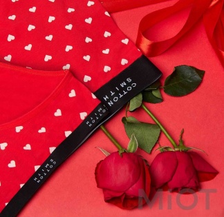 Жіноча нижня білизна Xiaomi Cottonsmith Festival (3 шт) L