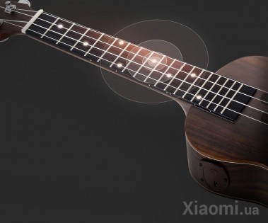 Гитара Xiaomi Populele S1