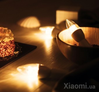 Лампа Xiaomi Philips Master LEDcandle Bulb (GPX4009RT)