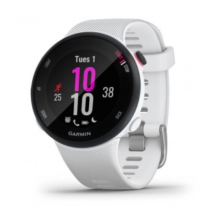 Часы GARMIN Forerunner 45s White