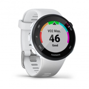 Часы GARMIN Forerunner 45s White