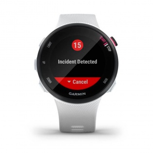 Часы GARMIN Forerunner 45s White