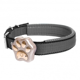 GPS маячок для кошек и собак GPS collar V30 (Золотой)