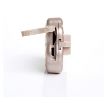 GPS маячок для кошек и собак GPS collar V30 (Золотой)
