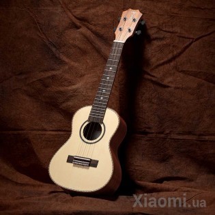 Гитара Xiaomi TOM