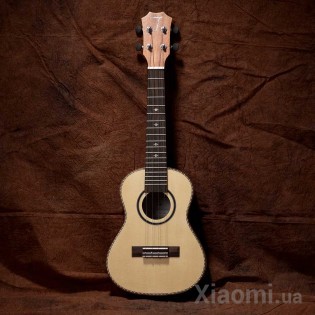 Гитара Xiaomi TOM