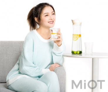 Набір для напоїв Xiaomi 17PIN High borosilicate glass Графін+2 стакана