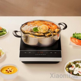 Индукционная плита Xiaomi Mi Home (Mijia) C1