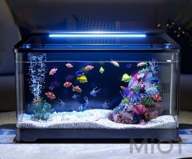Акваріум Xiaomi QUANGE Lazy Fish White