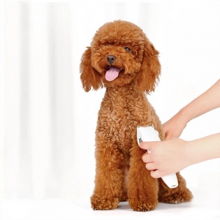 Машинка для стрижки животных Xiaomi Pawbby Pet Shaver (MG-HC001) White