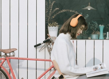 Наушники с микрофоном Xiaomi Mi Headphones 2 Comfort Orange (ZBW4366TY)