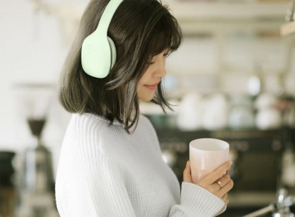 Наушники с микрофоном Xiaomi MI Headphones 2 Comfort Green (ZBW4365TY)