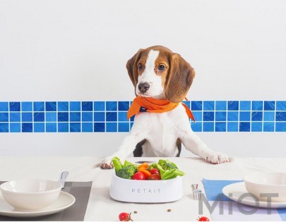 Розумна Антибактеріальне миска з цифровими вагами Xiaomi PETKIT Fresh P510 White